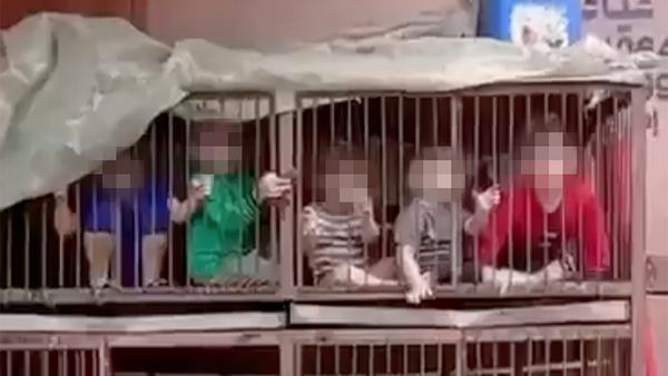 A video purportedly shows Palestinian children in chicken coop cages during the war between Israel and Hamas, or children from the other side.